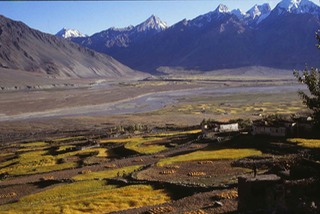 View from Karsha Monastery in Zanskar