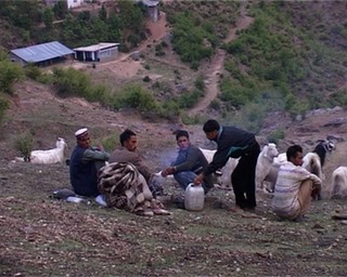 Gaddhi Shepherds at Naddi