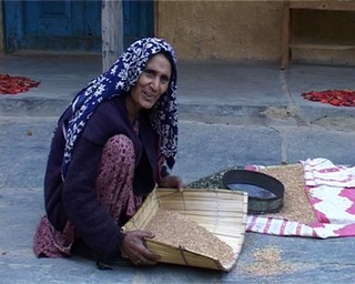  Gaddhi Woman winnowing in Ravi Valley